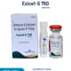 Ezicef-S 750 Injection for Bacterial Infection Treatment